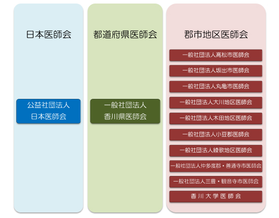 組織